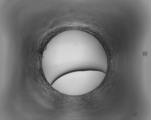 X0000111231493200907021011