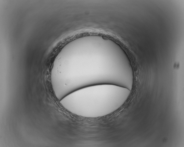 X0000111231495200907021011