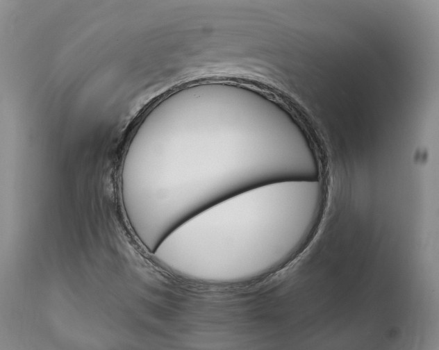 X0000111231497200907021011