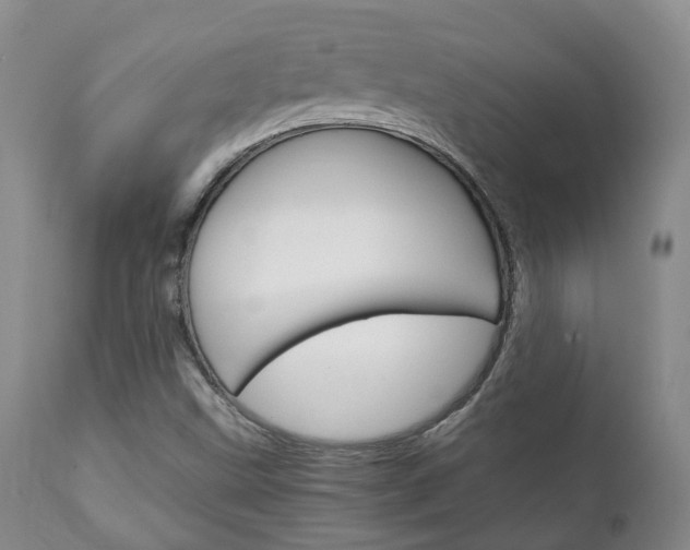 X0000111231499200907021011