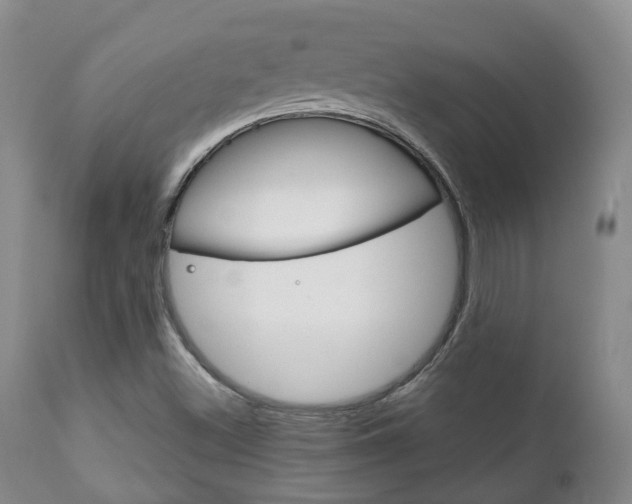 X0000111231500200907021011