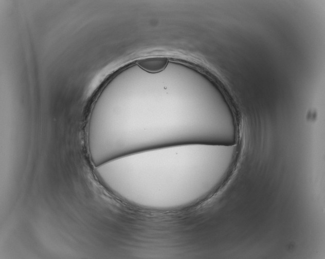 X0000111231501200907021011