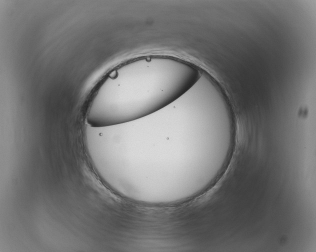 X0000111231502200907021011