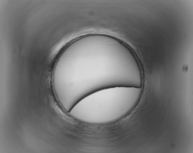 X0000111231503200907021011