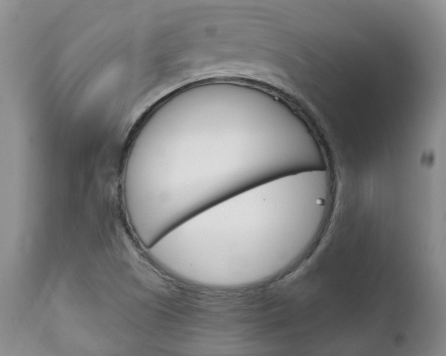 X0000111231505200907021011