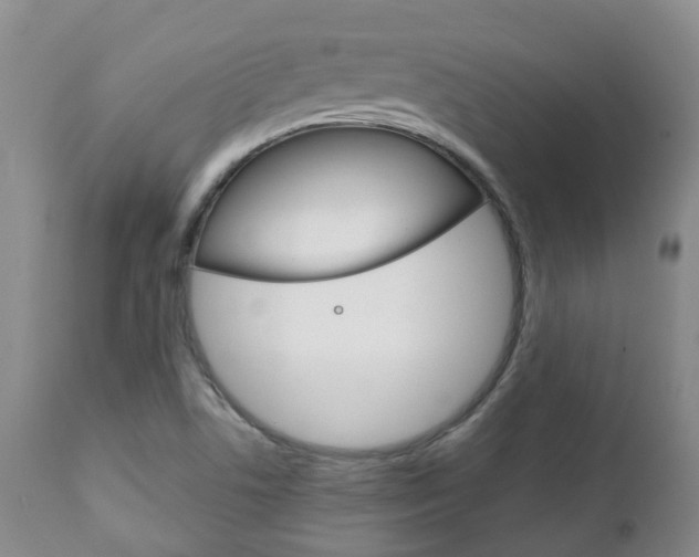 X0000111231506200907021011