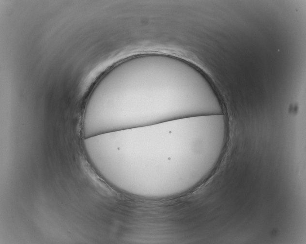 X0000111231507200907021011