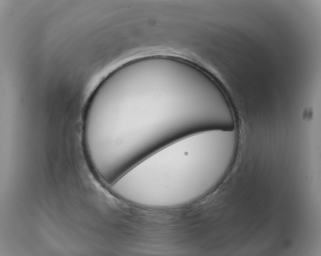 X0000111231508200907021011