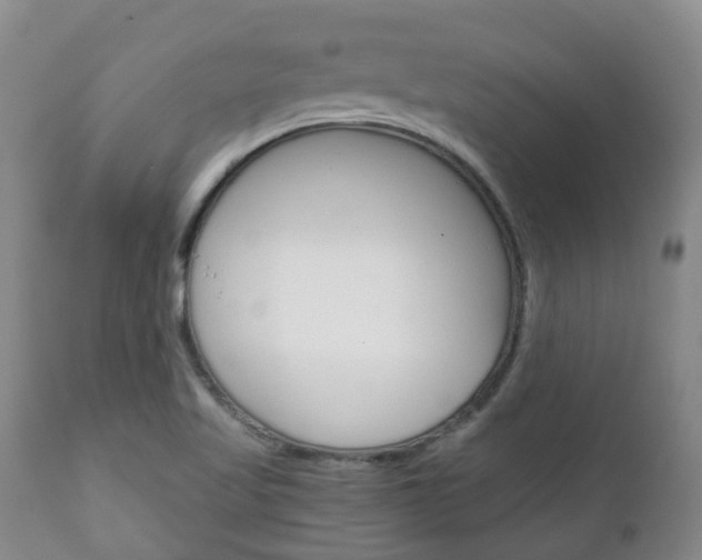 X0000111231509200907021011