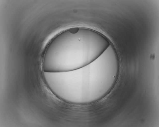 X0000111231510200907021011