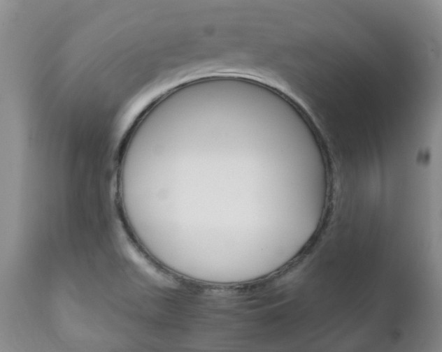 X0000111231511200907021011