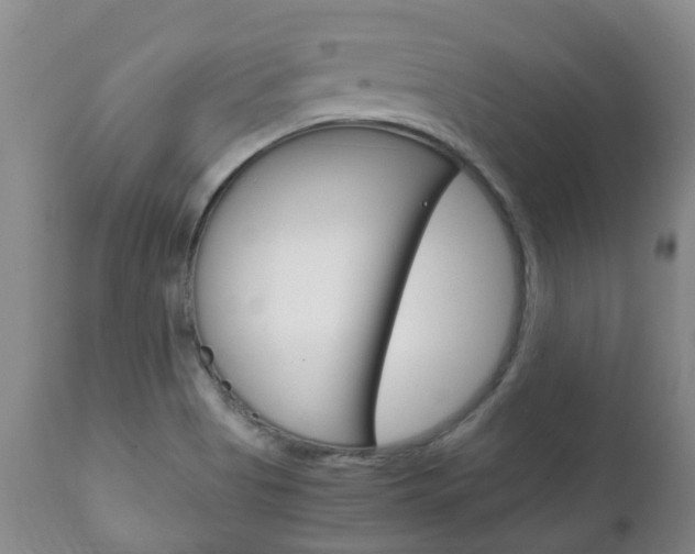 X0000111231513200907021011