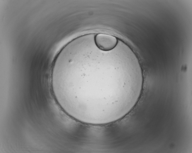 X0000111231514200907021011