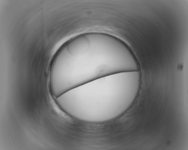 X0000111231515200907021011