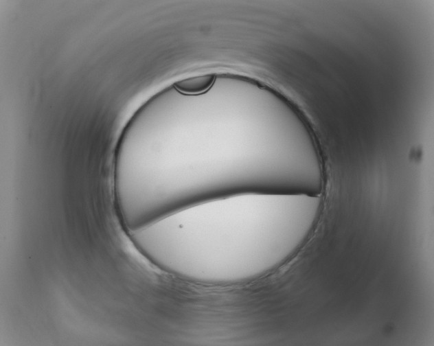 X0000111231516200907021011