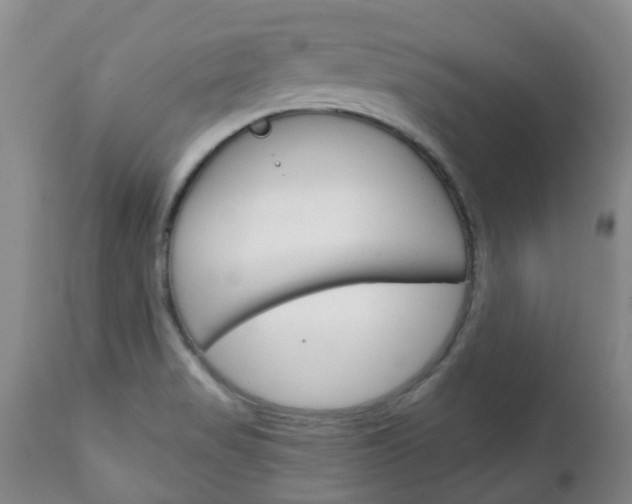 X0000111231517200907021011