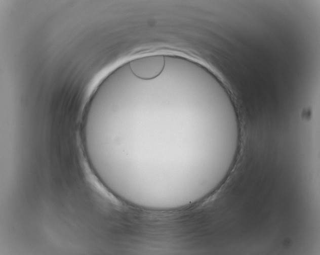 X0000111231518200907021011