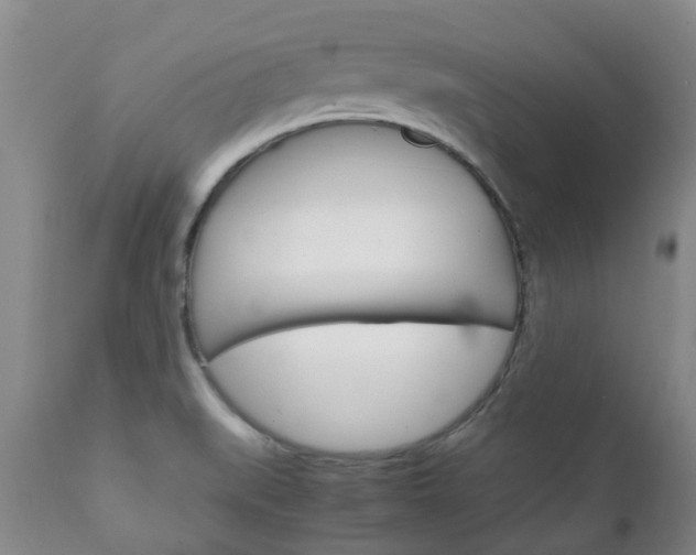 X0000111231519200907021011