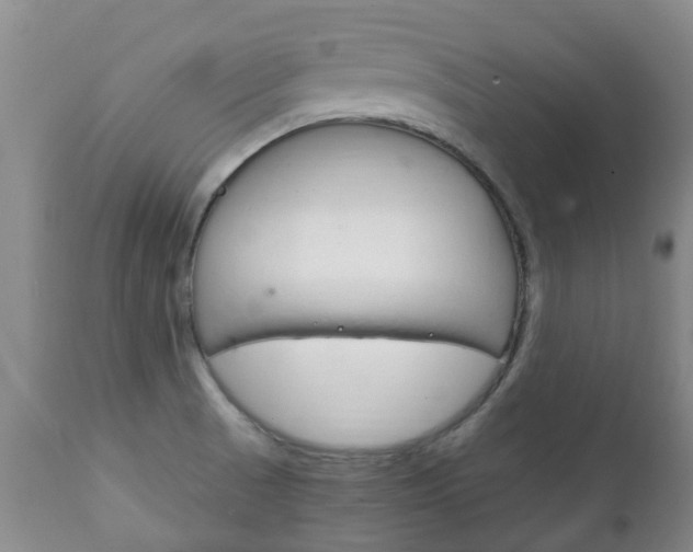 X0000111231521200907021011