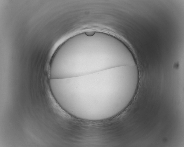 X0000111231522200907021011