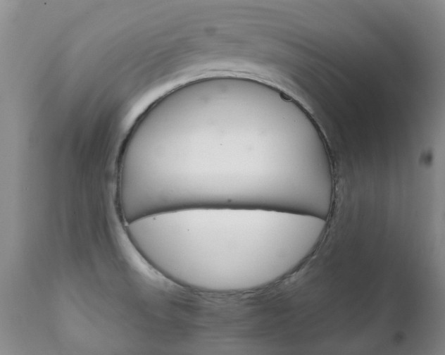 X0000111231523200907021011