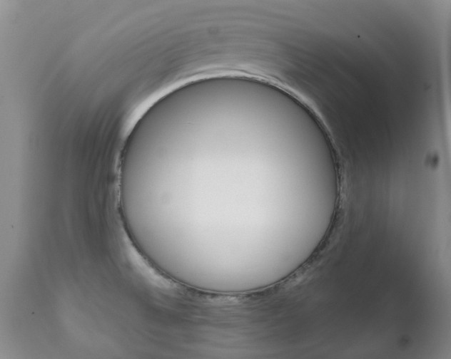 X0000111231524200907021012