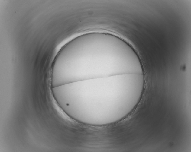 X0000111231526200907021012