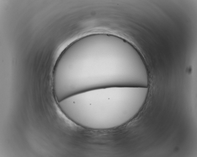 X0000111231527200907021012