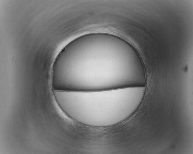 X0000111231528200907021012