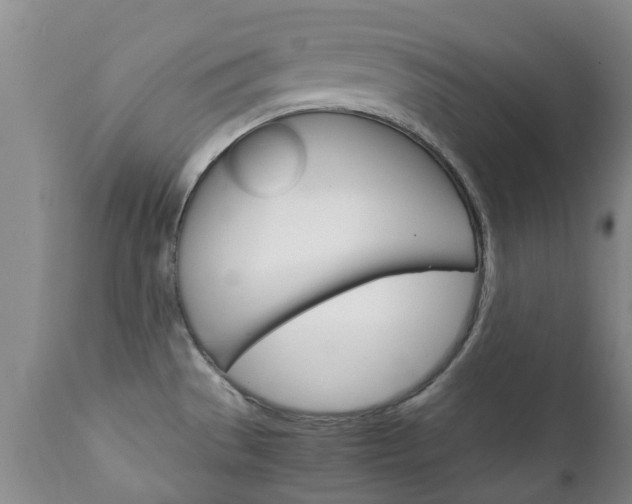 X0000111231529200907021012