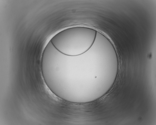 X0000111231532200907021012