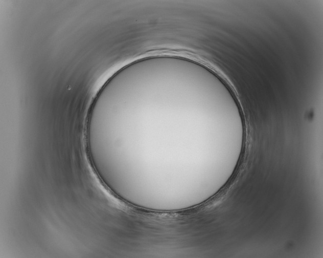 X0000111231533200907021012