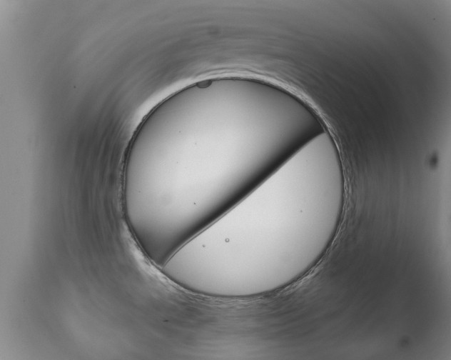 X0000111231534200907021012