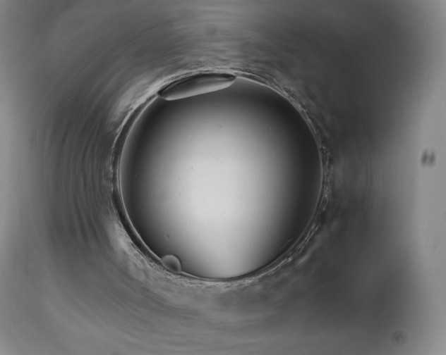 X0000111230002200907021410