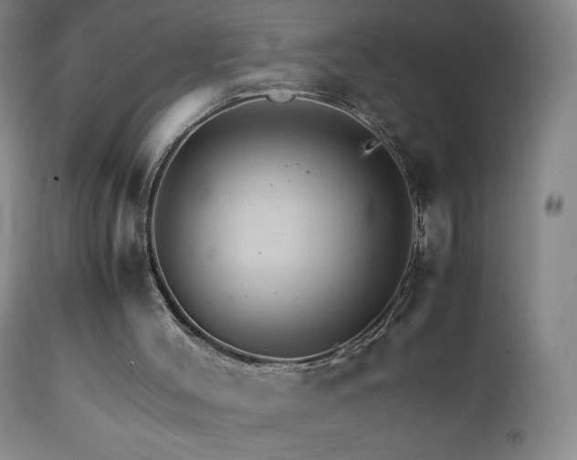 X0000111230004200907021410