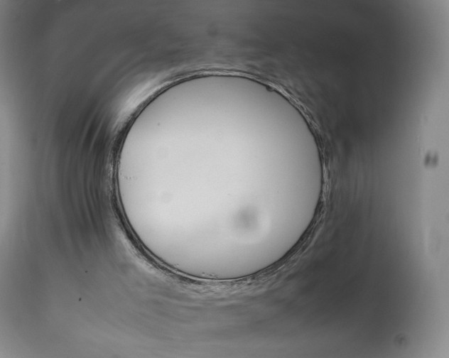 X0000111230005200907021410