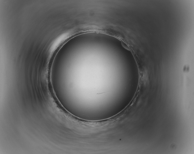 X0000111230006200907021410