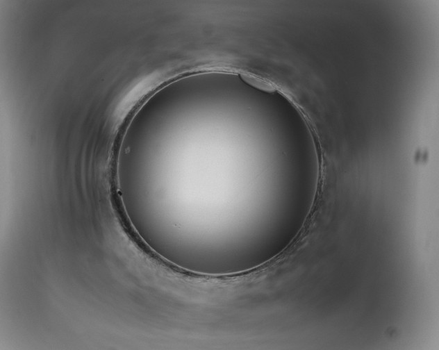 X0000111230007200907021410