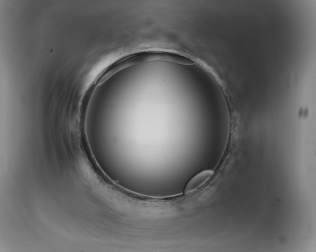 X0000111230008200907021410