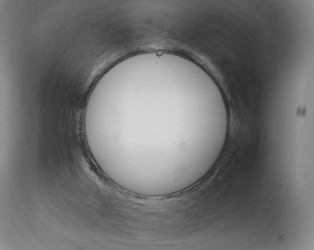 X0000111230010200907021410