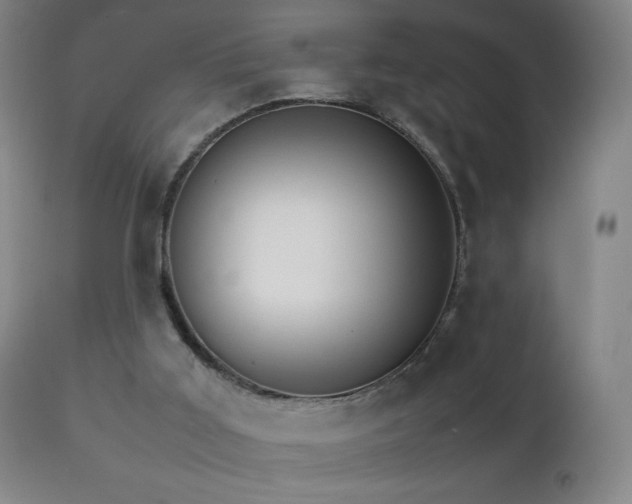 X0000111230011200907021410