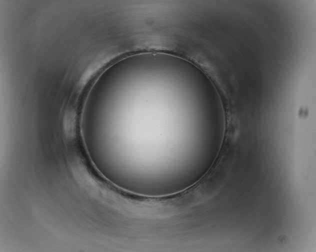 X0000111230012200907021410