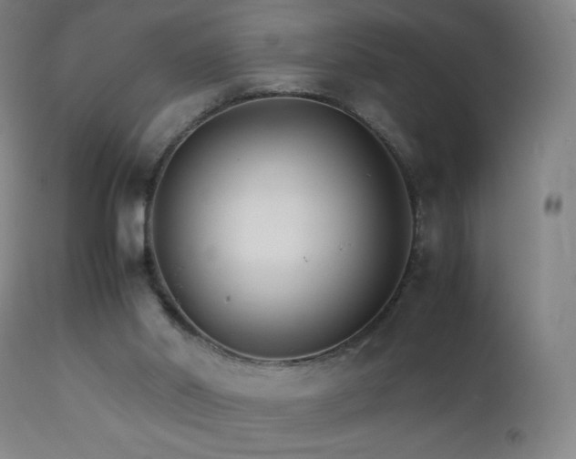 X0000111230014200907021410