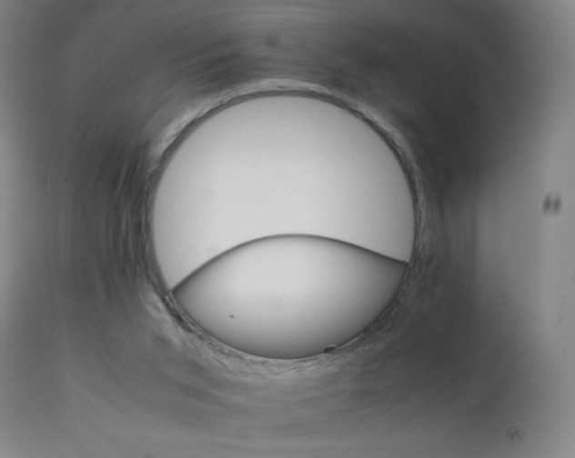 X0000111230015200907021410