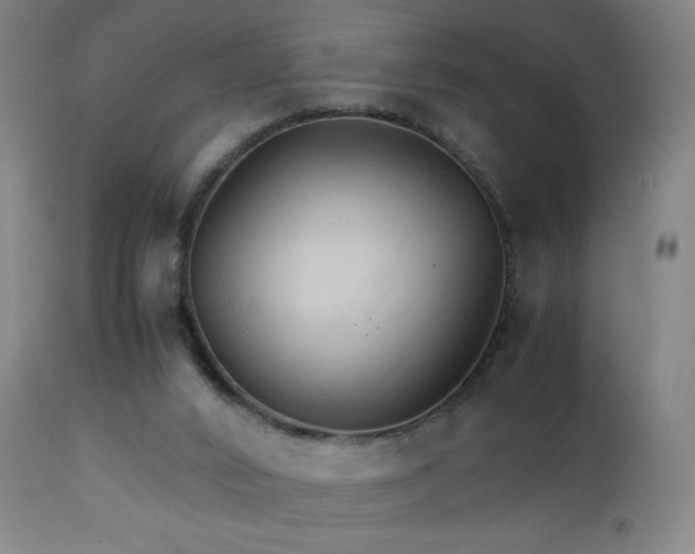 X0000111230016200907021410