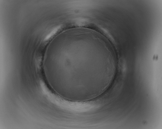 X0000111230018200907021410