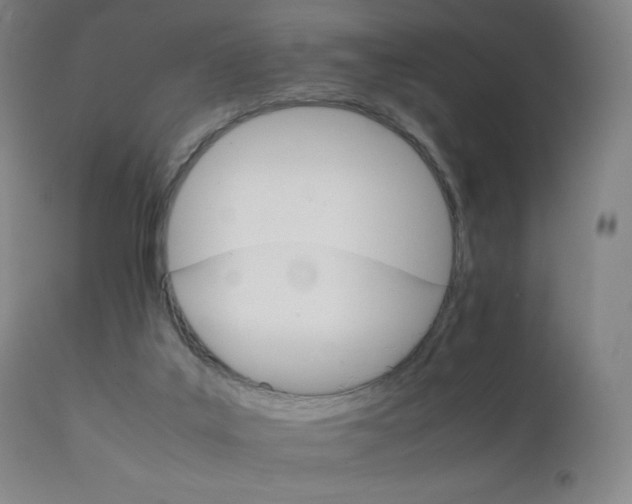 X0000111230019200907021410