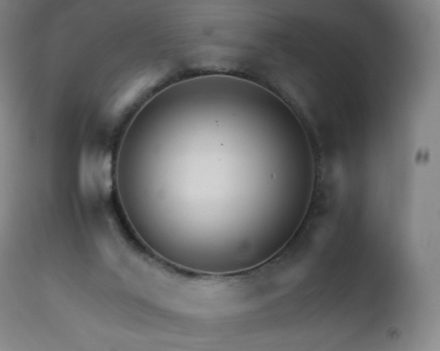 X0000111230020200907021410