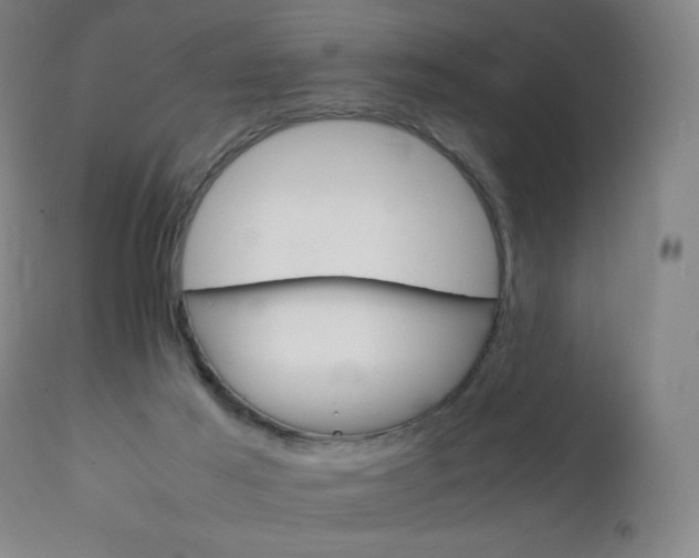 X0000111230021200907021410
