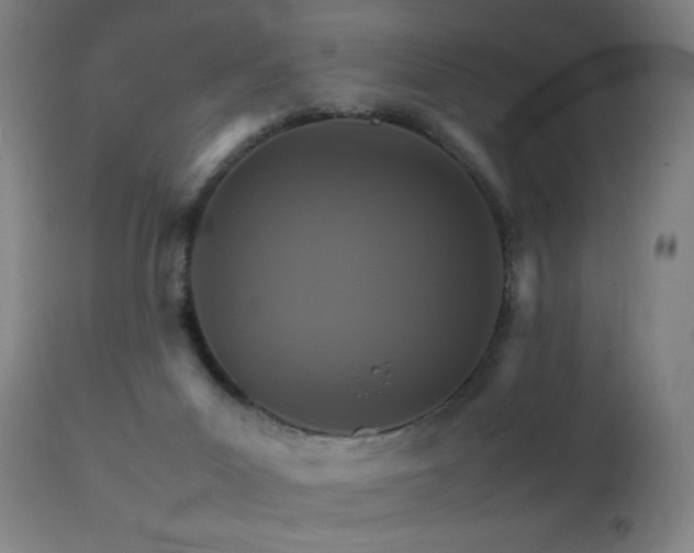 X0000111230023200907021410